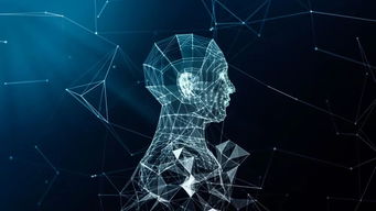 最前沿的機(jī)器視覺(jué)與計(jì)算機(jī)視覺(jué)技術(shù)中的數(shù)據(jù)處理技術(shù)